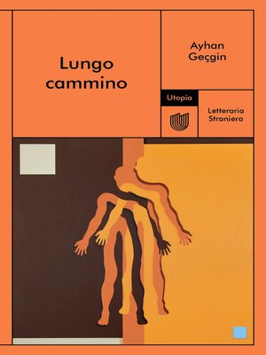 cover image of Lungo cammino